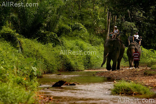 Le Meridien Khao Lak Beach Resort 40